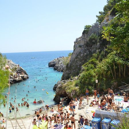 B&B Le Rose Vignacastrisi Bagian luar foto