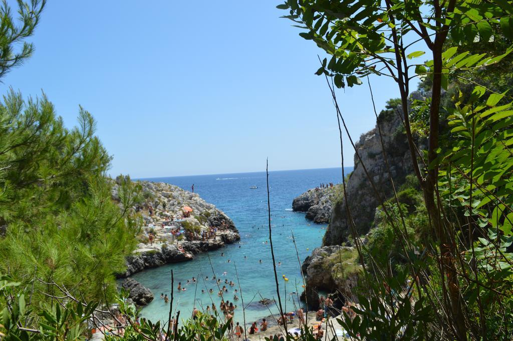 B&B Le Rose Vignacastrisi Bagian luar foto