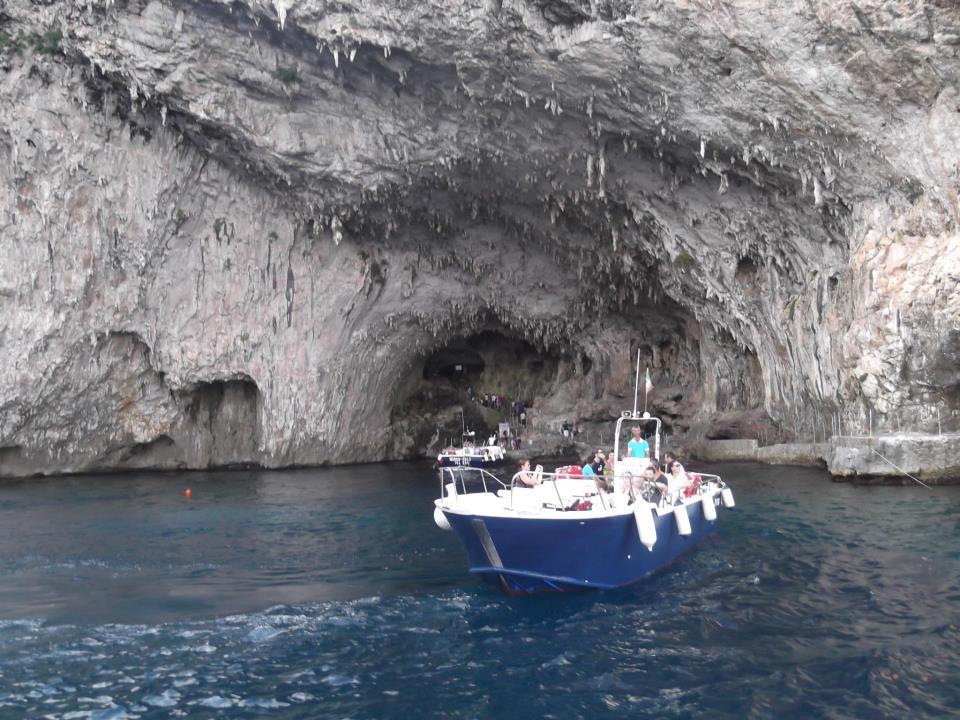 B&B Le Rose Vignacastrisi Bagian luar foto